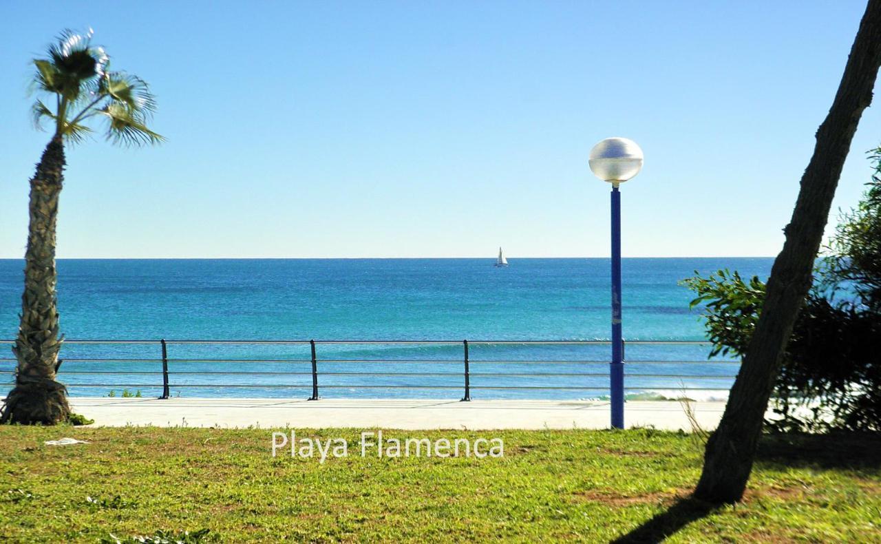 Apartment With Large Roof Solarium Dehesa de Campoamor  외부 사진